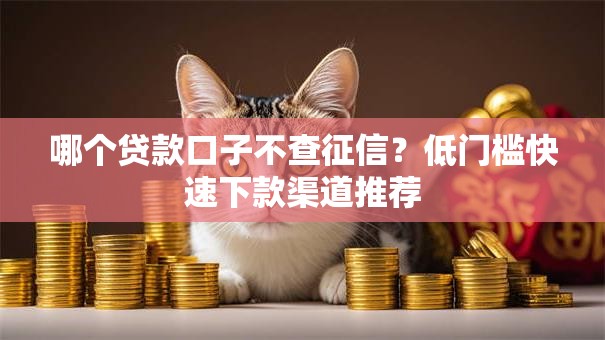 哪个贷款口子不查征信？低门槛快速下款渠道推荐