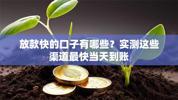 放款快的口子有哪些？实测这些渠道最快当天到账
