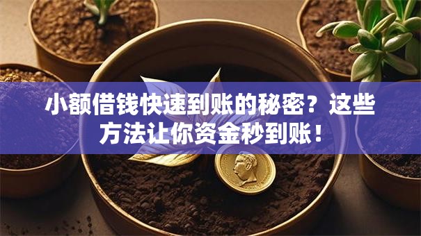 小额借钱快速到账的秘密？这些方法让你资金秒到账！
