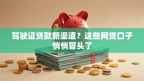 驾驶证贷款新渠道？这些网贷口子悄悄冒头了