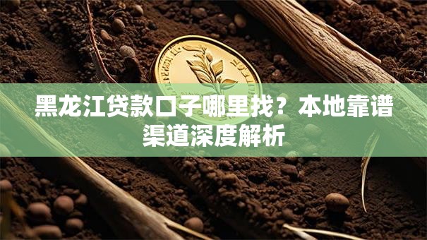 黑龙江贷款口子哪里找？本地靠谱渠道深度解析