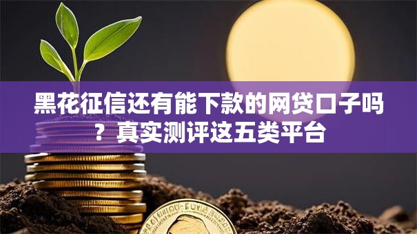 黑花征信还有能下款的网贷口子吗？真实测评这五类平台