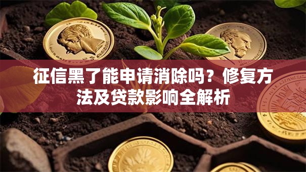 征信黑了能申请消除吗？修复方法及贷款影响全解析
