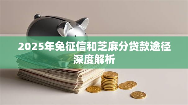 2025年免征信和芝麻分贷款途径深度解析