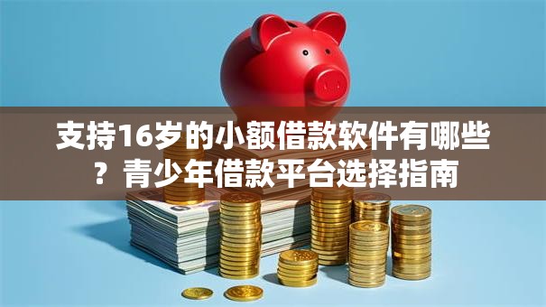 支持16岁的小额借款软件有哪些？青少年借款平台选择指南