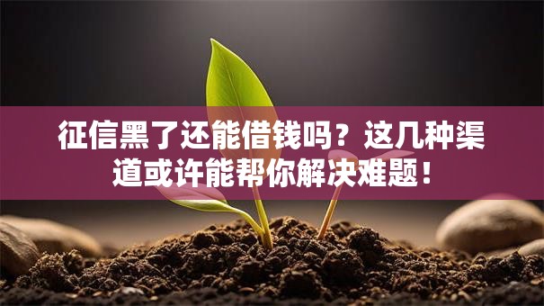 征信黑了还能借钱吗？这几种渠道或许能帮你解决难题！