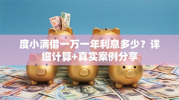 度小满借一万一年利息多少？详细计算+真实案例分享