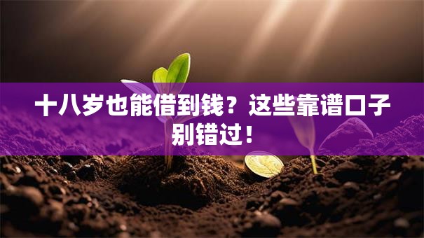 十八岁也能借到钱？这些靠谱口子别错过！