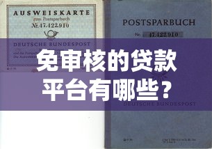 免审核的贷款平台有哪些？正规渠道选择与避坑指南