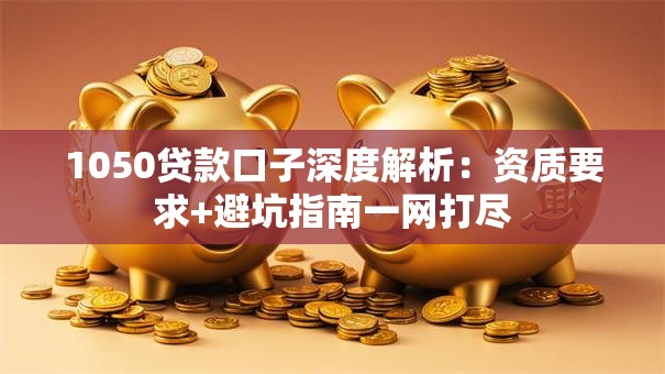 1050贷款口子深度解析：资质要求+避坑指南一网打尽