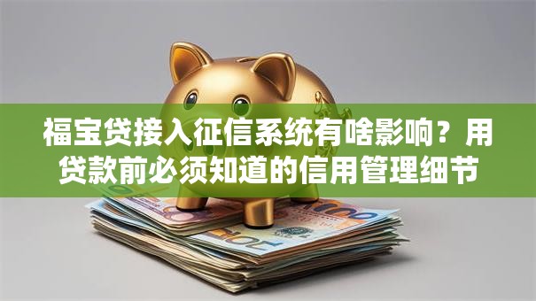 福宝贷接入征信系统有啥影响？用贷款前必须知道的信用管理细节