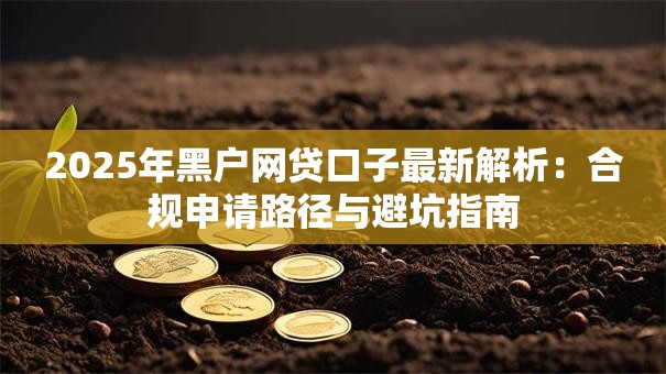 2025年黑户网贷口子最新解析：合规申请路径与避坑指南