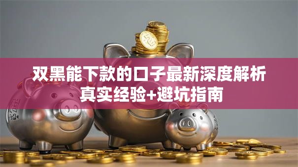 双黑能下款的口子最新深度解析 真实经验+避坑指南