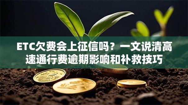 ETC欠费会上征信吗？一文说清高速通行费逾期影响和补救技巧
