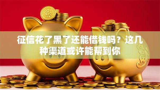 征信花了黑了还能借钱吗？这几种渠道或许能帮到你