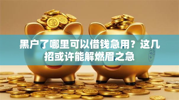 黑户了哪里可以借钱急用？这几招或许能解燃眉之急