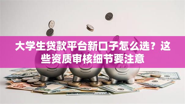 大学生贷款平台新口子怎么选？这些资质审核细节要注意