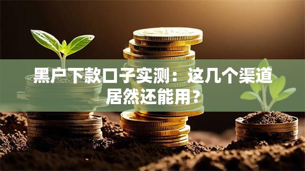 黑户下款口子实测：这几个渠道居然还能用？