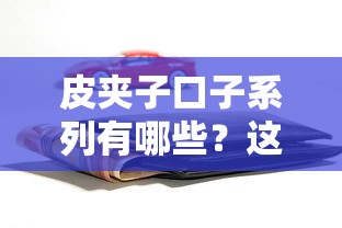 皮夹子口子系列有哪些？这些隐藏贷款渠道你可能没试过！