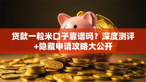 贷款一粒米口子靠谱吗？深度测评+隐藏申请攻略大公开