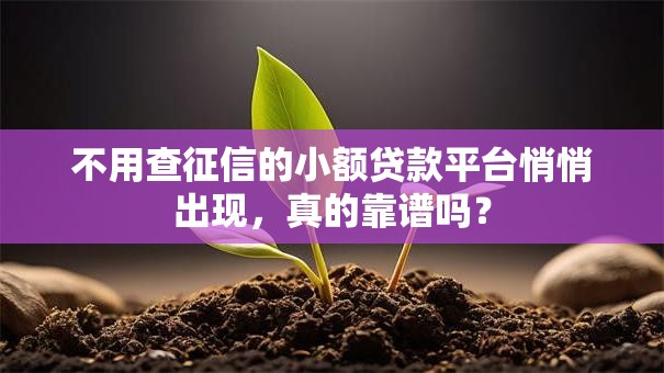 不用查征信的小额贷款平台悄悄出现，真的靠谱吗？