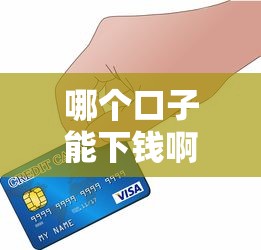 哪个口子能下钱啊？5个靠谱渠道手把手教你选