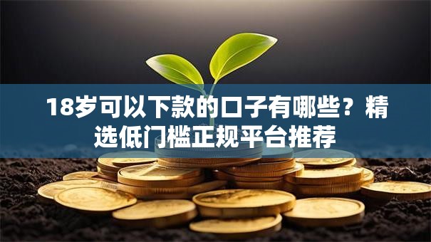 18岁可以下款的口子有哪些？精选低门槛正规平台推荐