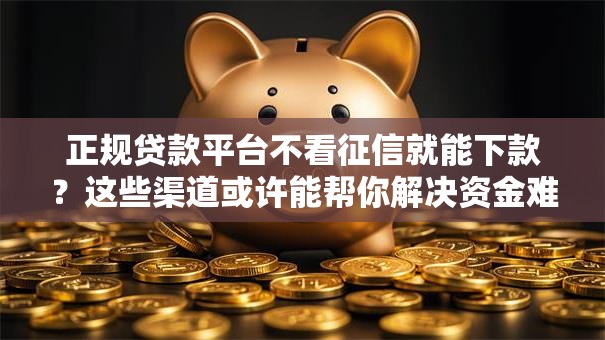 正规贷款平台不看征信就能下款？这些渠道或许能帮你解决资金难题