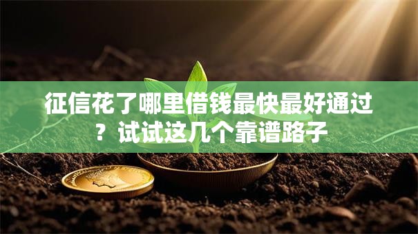 征信花了哪里借钱最快最好通过？试试这几个靠谱路子