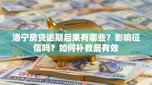 洛宁房贷逾期后果有哪些？影响征信吗？如何补救最有效