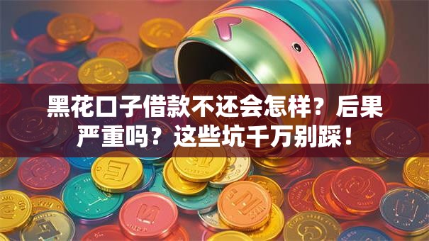 黑花口子借款不还会怎样？后果严重吗？这些坑千万别踩！