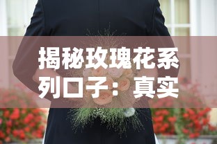 揭秘玫瑰花系列口子：真实测评与申请避坑指南