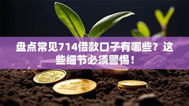 盘点常见714借款口子有哪些？这些细节必须警惕！