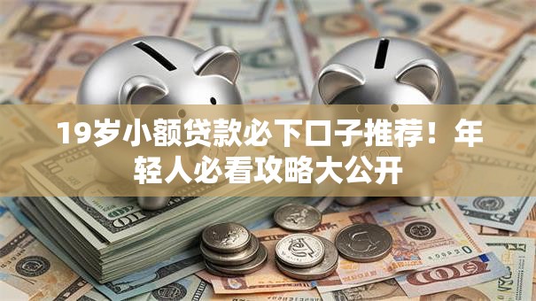 19岁小额贷款必下口子推荐！年轻人必看攻略大公开