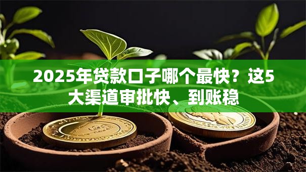 2025年贷款口子哪个最快？这5大渠道审批快、到账稳