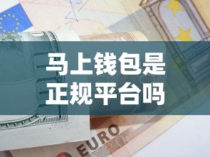 马上钱包是正规平台吗？深度解析贷款安全性及防骗技巧