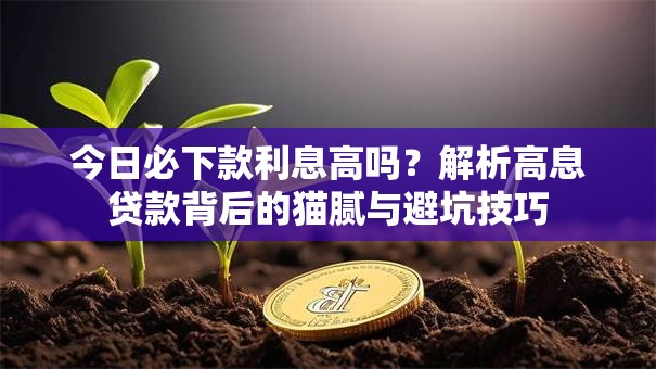 今日必下款利息高吗？解析高息贷款背后的猫腻与避坑技巧