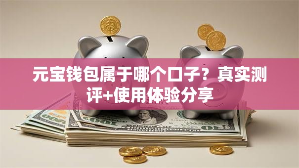元宝钱包属于哪个口子？真实测评+使用体验分享