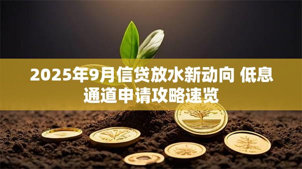 2025年9月信贷放水新动向 低息通道申请攻略速览
