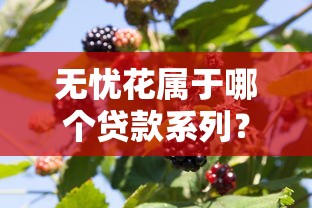 无忧花属于哪个贷款系列？深度解析产品背景与使用攻略
