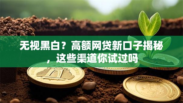 无视黑白？高额网贷新口子揭秘，这些渠道你试过吗