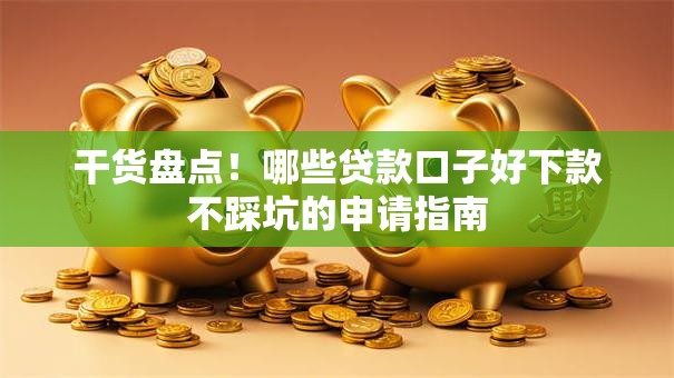 干货盘点！哪些贷款口子好下款不踩坑的申请指南