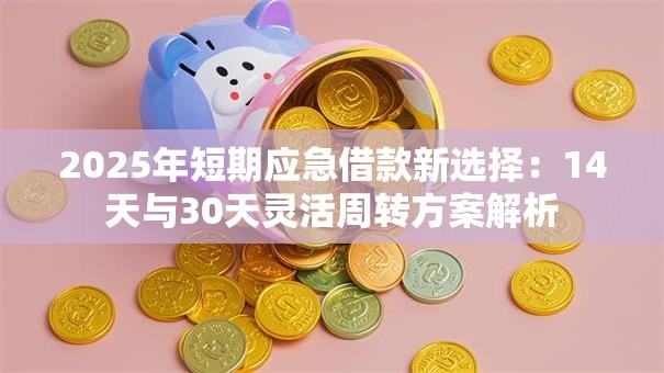 2025年短期应急借款新选择：14天与30天灵活周转方案解析
