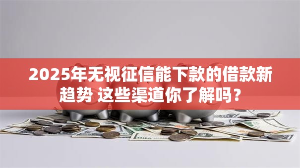 2025年无视征信能下款的借款新趋势 这些渠道你了解吗？