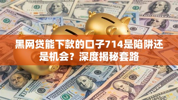 黑网贷能下款的口子714是陷阱还是机会？深度揭秘套路