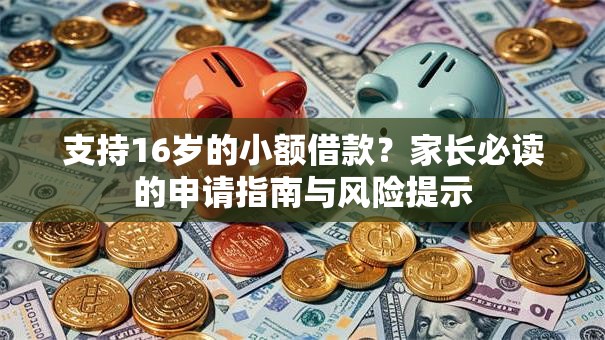 支持16岁的小额借款？家长必读的申请指南与风险提示