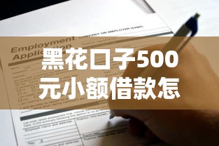 黑花口子500元小额借款怎么申请？这些注意事项得提前了解！
