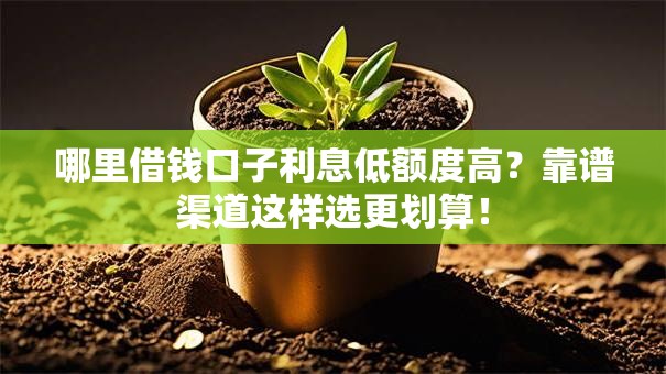 哪里借钱口子利息低额度高？靠谱渠道这样选更划算！