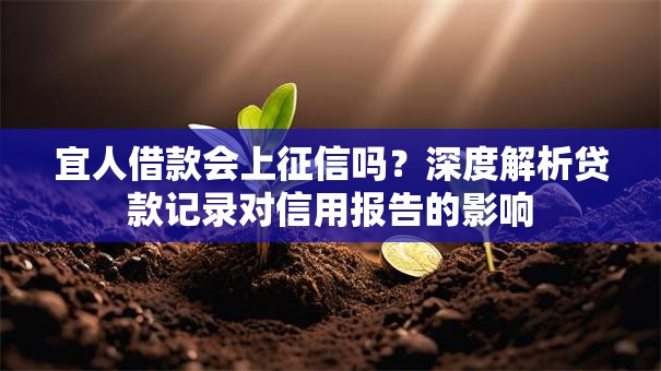 宜人借款会上征信吗？深度解析贷款记录对信用报告的影响