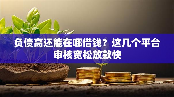 负债高还能在哪借钱？这几个平台审核宽松放款快